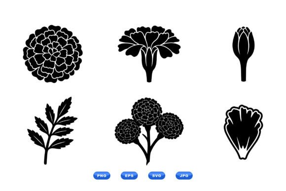 Marigold Silhouette Clipart Set: Graphics for Editorial and Web Design